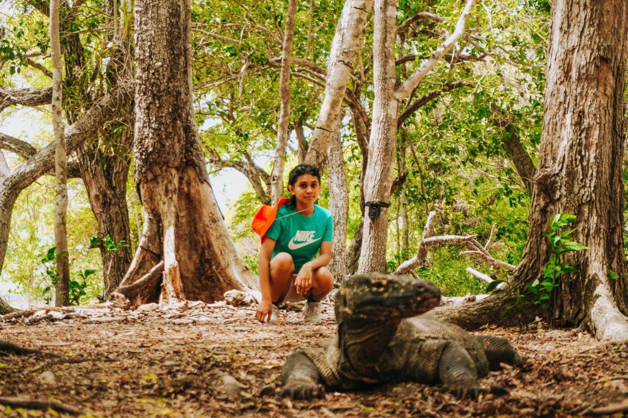 Komodoku One Love Homestay And Tour Labuan Bajo Kültér fotó