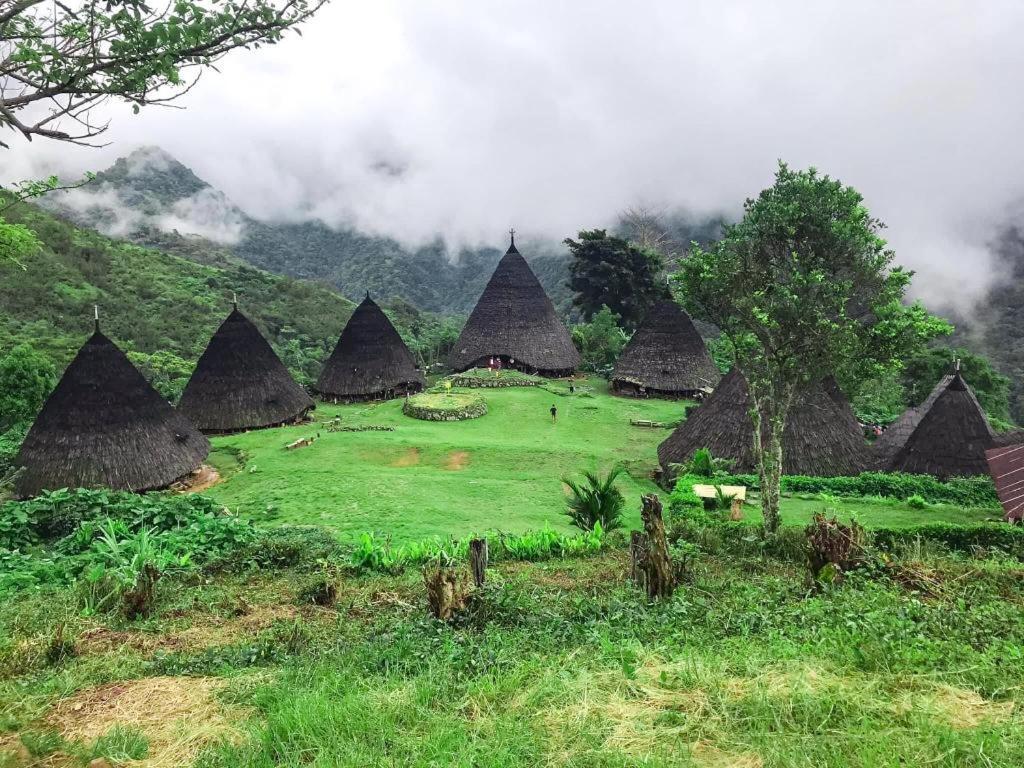 Komodoku One Love Homestay And Tour Labuan Bajo Kültér fotó